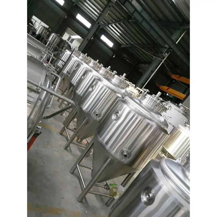 Équipement de brasserie de bière de fermentation en acier inoxydable Offre Spéciale micro machine de brassage projet clé en main à vendre
