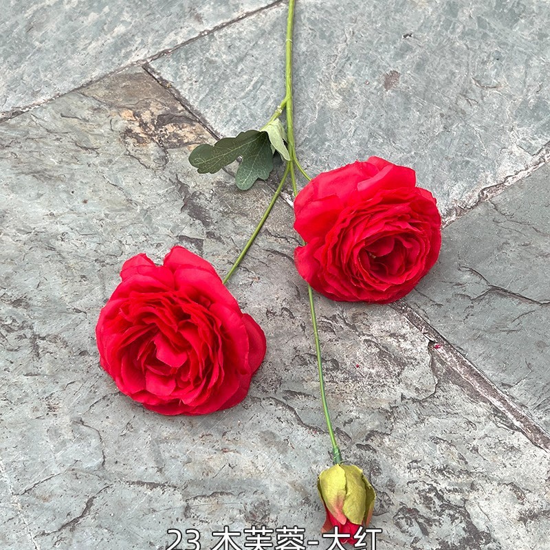 10# Rouge, 23 mu rouge hibiscus