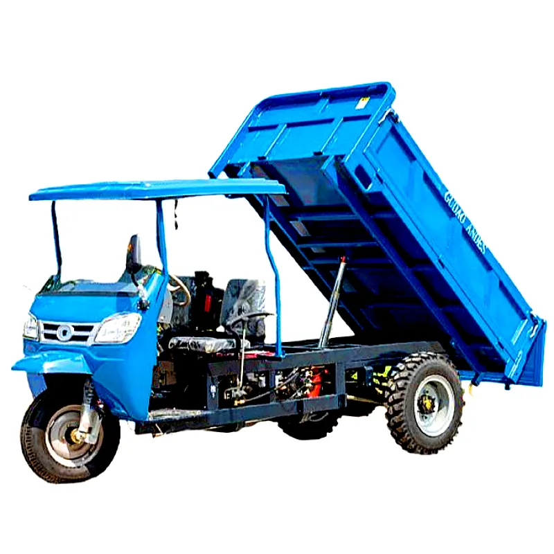 EU/ECE/CE 9-Wheel Cargo Tricycle/Heavy-Duty Motorcycle Double-Cylinder Hydraulic Dump Tricycle Motor Truck