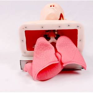 Advanced <strong>Human</strong> Tracheal Intubation Training Model for Medical Education Training - Product Image 3
