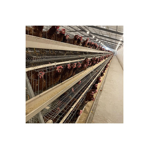 Máy Ấp Trứng 5000 Trứng Gà Thiết Bị Ấp Trứng Với Máy Ấp Trứng Gà Tự Động - Product Image 2