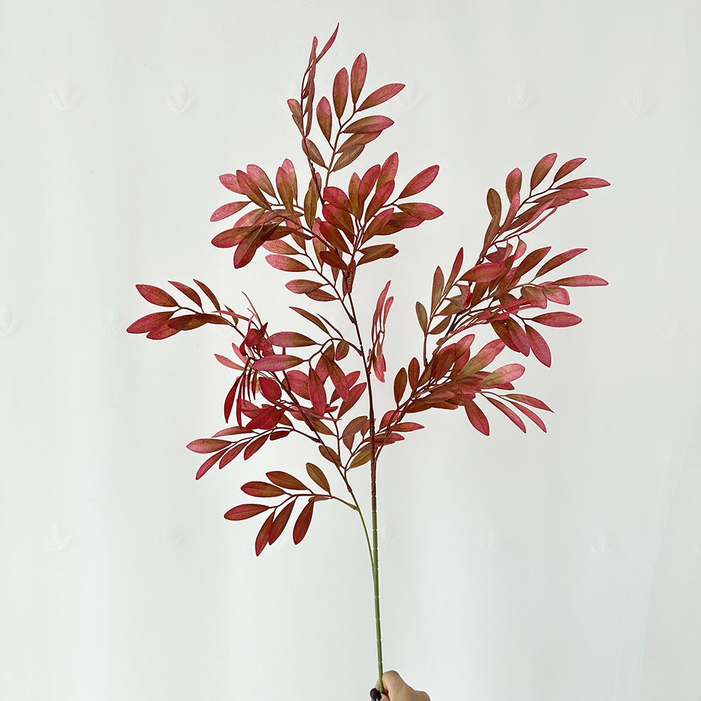 rose red