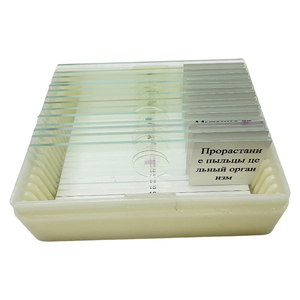 显微镜载玻片生物学教育工具包，生物学自然 - Product Image 4