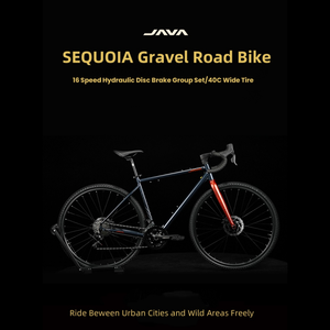 JAVA Road Bike lega di alluminio 16 velocità freno a disco idraulico ghiaia Off road Sequoia LTWOO R3 700C 40C SEQUOIA Java pneumatico largo - Product Image 6