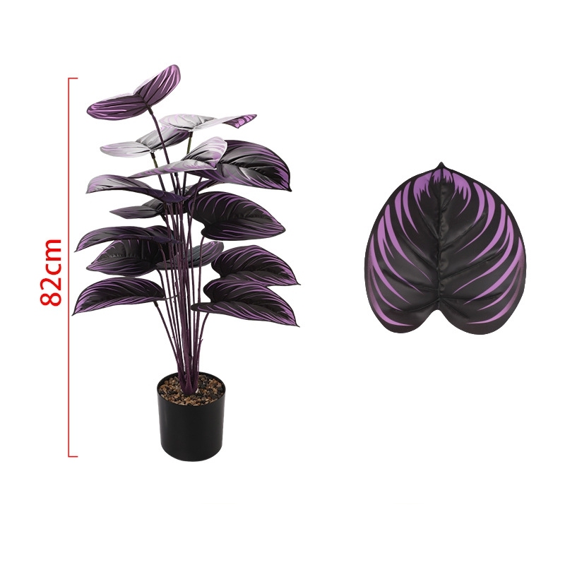 Purple 4