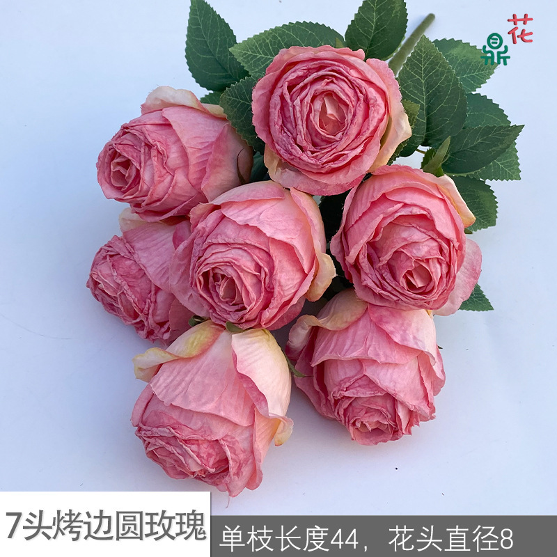 7-head roasted round rose GY, deep pink