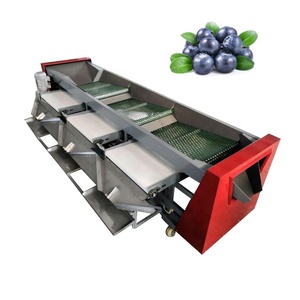 Automatic Small Fruit <strong>Dates</strong> Blueberry <strong>Sorting</strong> <strong>Machine</strong> - Product Image 1