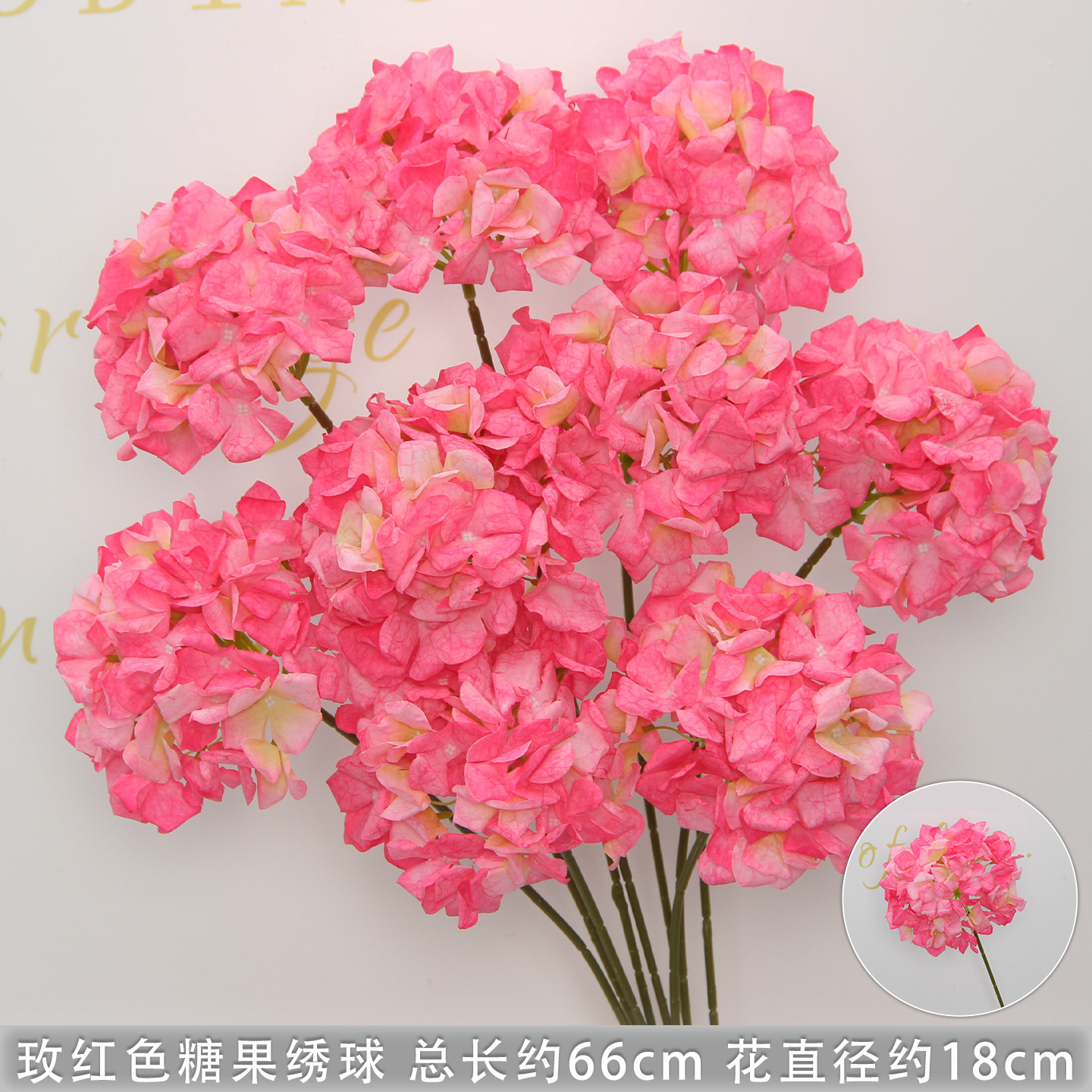 Paquet de 10 hortensias en bonbons rose-rouge
