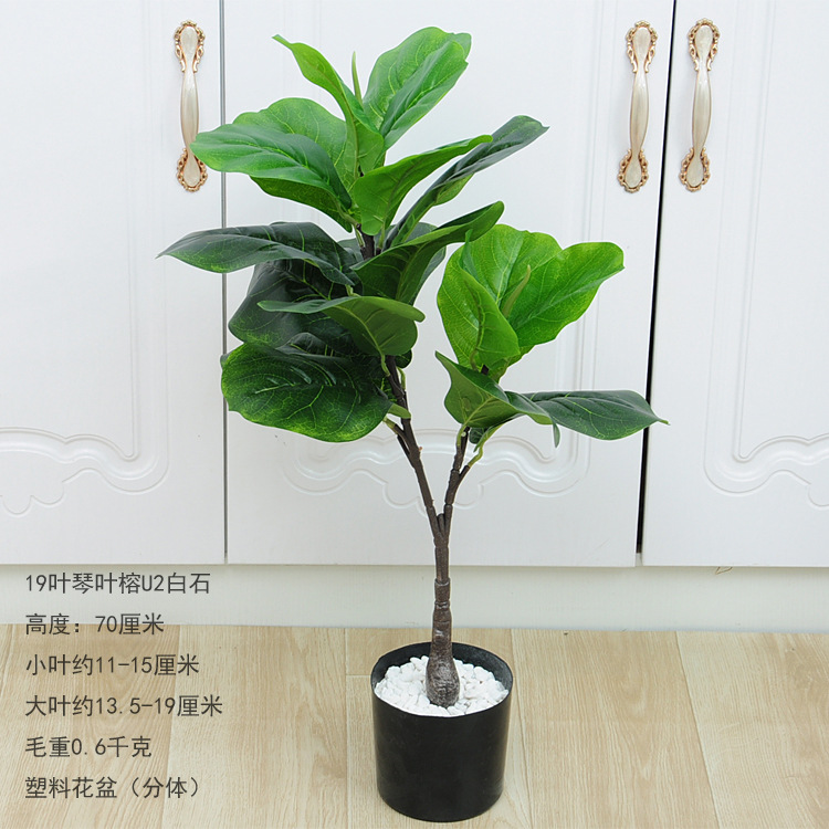 19 ye qin ye rong u2 pierre blanche (fendue) 70cm