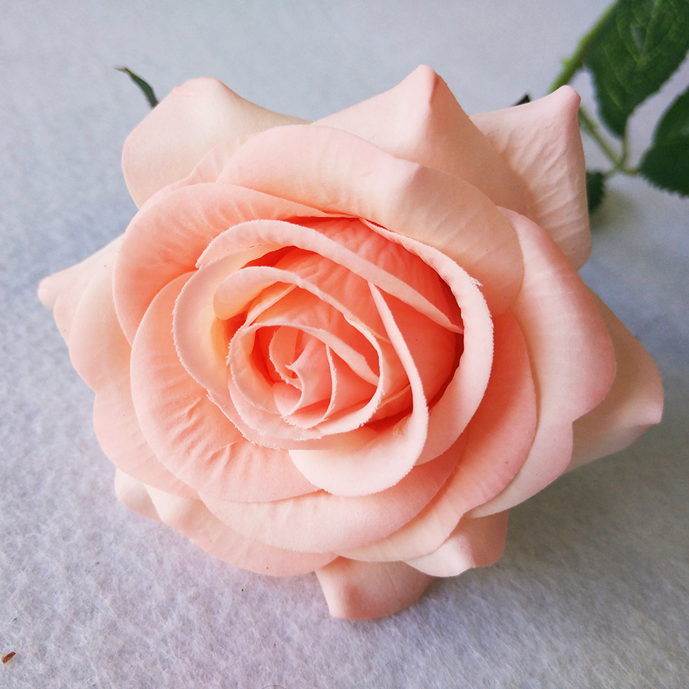 Rose garance