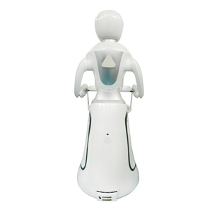 Human Following Chinese Robotic Factory <strong>Program</strong> AI Food <strong>Robot</strong>
