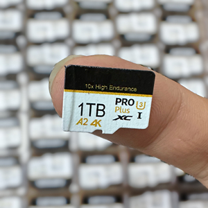 eBay 2tb การ์ดหน่วยความจําสําหรับ PC,u3 64GB อัพเกรด 1tb การ์ด sd สําหรับ Mac,คุณภาพสูงอัพเกรด 1tb การ์ด sd orginal 40mb/s โลโก้ที่กําหนดเอง - Product Image 1