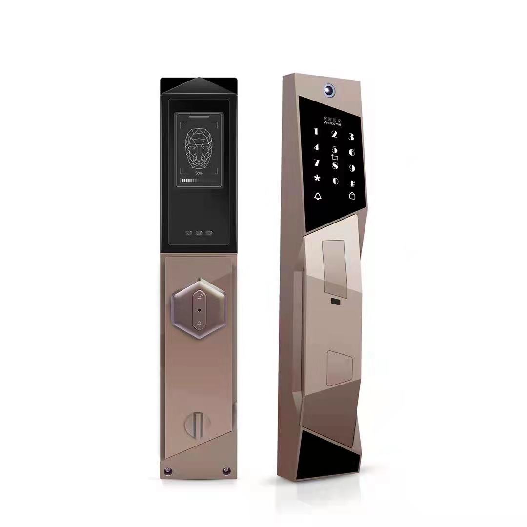 Competitive Price Qleung S923 Intelligent USmart GO Wifi APP Lock Password Card Biometric Fingerprint Smart Lock Door