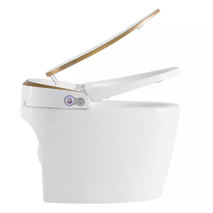Otomatik sensör gömme elektrikli banyo tek parça akıllı Wc Commode tuvalet kase uzaktan kumanda ile altın çizgi akıllı tuvalet - Product Image 4
