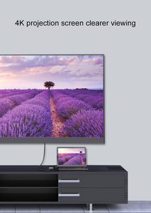 OEM ODM 4K 60hz双显示器C型集线器2合1 USB C型集线器，带铝合金外壳高清Abs材料C型至DP适配器 - Product Image 5