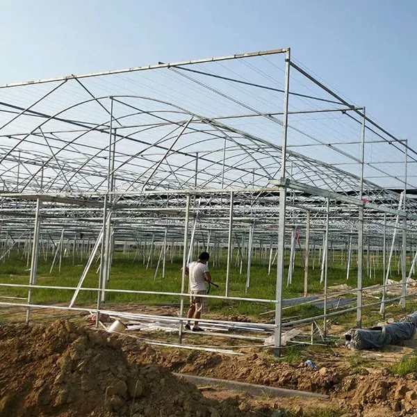 Sistemi di coltivazione idroponica dell'attrezzatura della serra del Film plastico agricolo Multispan