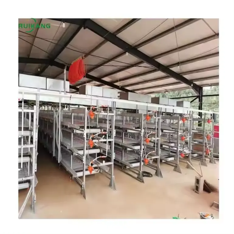 Système automatique de cage d'élevage de poulets de chair dédié à la ferme avicole à vendre