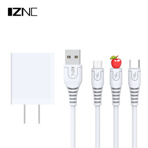 Taşınabilir evrensel taşınabilir tek kullanımlık SYNC 5v 2.4A Usb c duvar şarj apple IC ile cep telefonları için - Product Image 5
