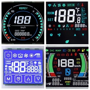 ROHS Factory Custom 7 segmento COB COG modulo LCD Display monocromatico con schermo personalizzato