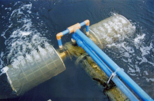 Large Flow Rate Stainless Steel 316L Wedge Wire Pump Intake Screen 1mm to <strong>10mm</strong> <strong>Filter</strong> Meshes for Lakes Water Intake <strong>Filters</strong> - Product Image 6