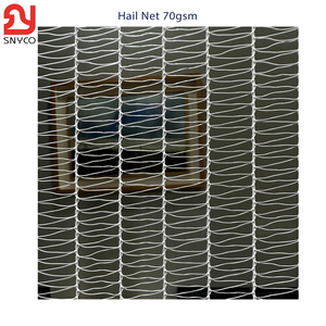 HDPE Plastic <strong>Nets</strong> 60-90 Gsm Hail Netting <strong>Excellent</strong> Value for Vegetable Garden Grape Apple Orchard Protection Insect <strong>Net</strong> Cutting