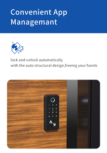 Fábrica Personalizado Tuya automático inteligente impressão digital fechadura da porta deadbolt com teclado keyless deslizante senha porta loc