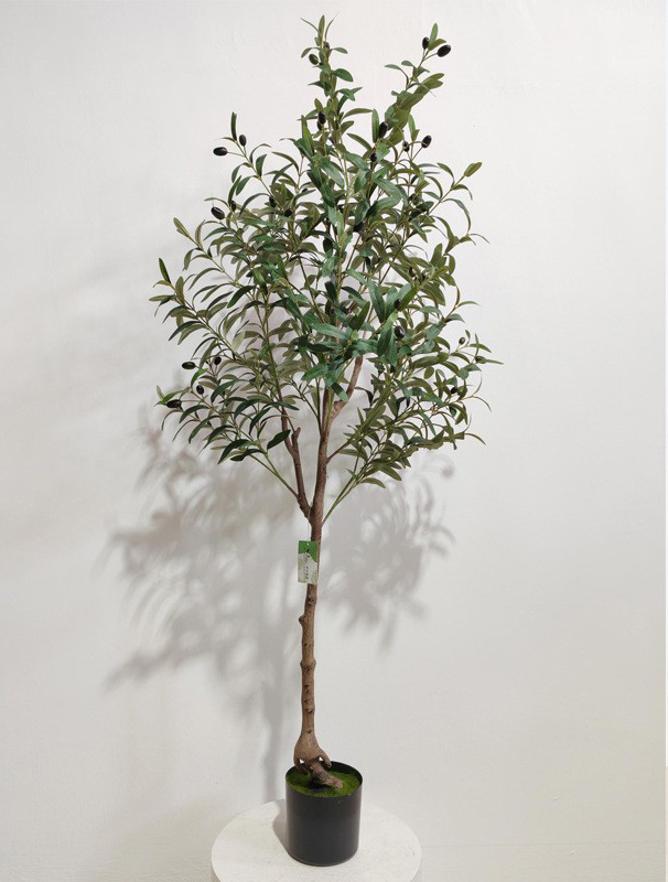 Green 150cm (Detachable Version)