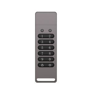 Best Selling Custom Logo Digital USB <strong>Flash</strong> Disk AES256-bit Hardware Password <strong>Encrypted</strong> USB <strong>Memory</strong> Stick OEM ODM OBM - Product Image 2