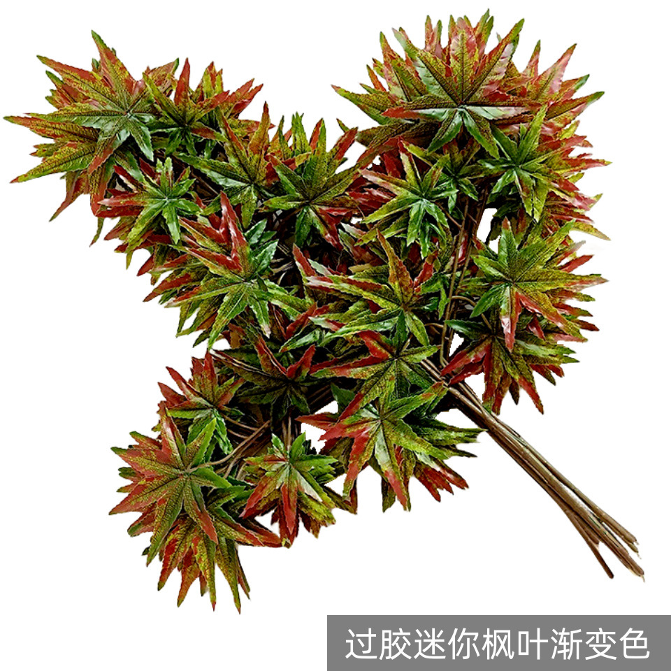 Feuilles d'érable miniatures avec finition laminée et couleurs dégradées