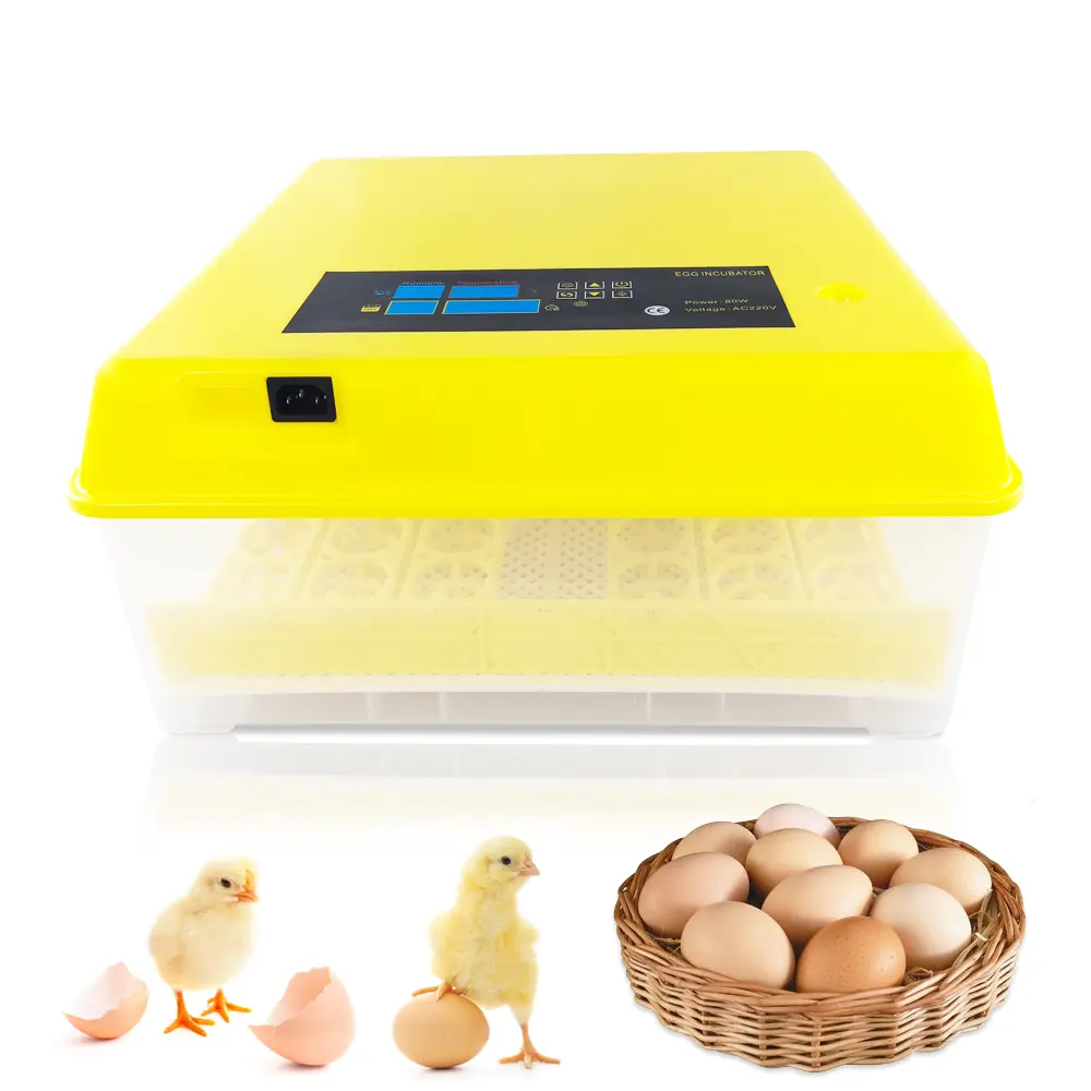 Incubadora de huevos solar de segunda generación con luz LED, nueva función, botón de giro de huevo de mano