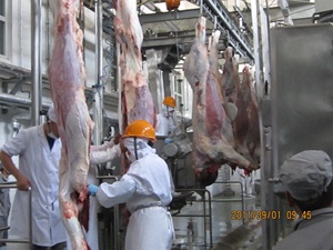 每天500线栏杆系统羊羊肉胴体栏杆肉栏杆建在屠宰场 - Product Image 4