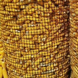Полипропиленовая Антивозрастная садовая сетка, 3 см, сетка для защиты птиц для фруктовых деревьев и полей - Product Image 3