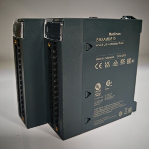BMXAMI0810 Modicon X80 Series Programmable Logic Controller 8-<strong>Channel</strong> <strong>Analog</strong> <strong>Input</strong> <strong>Module</strong> Brand New Original <strong>1</strong>-Year Warranty - Product Image 2