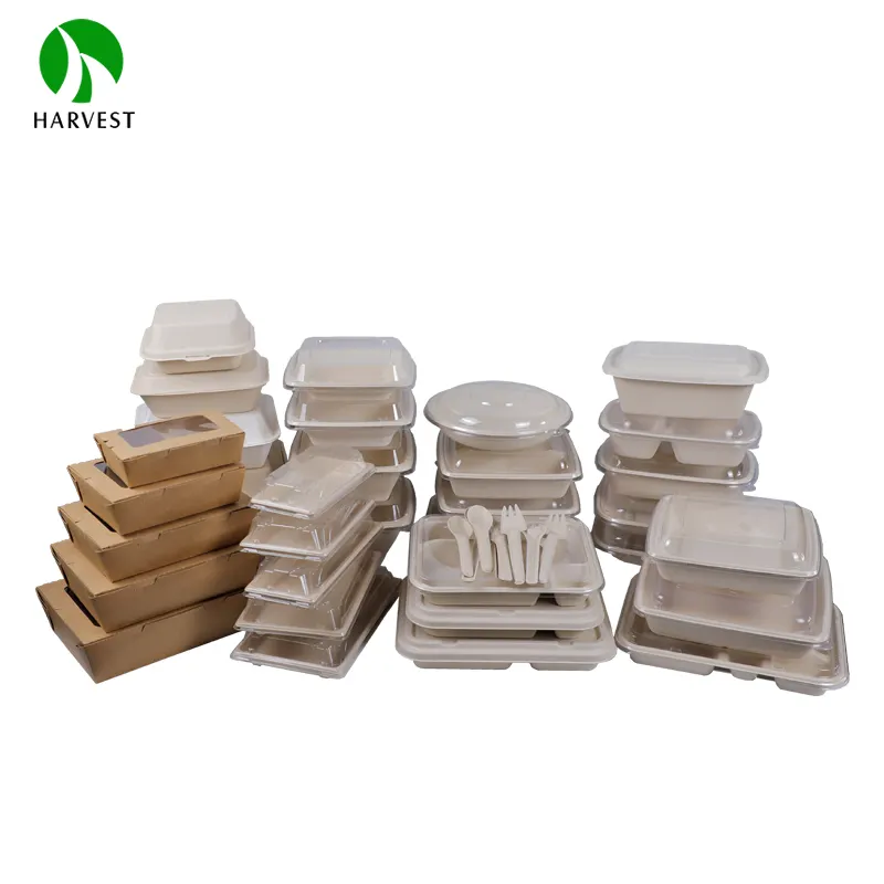 Wegwerp Bagasse Biologisch Afbreekbaar Takeaway Composteerbaar Container Papier Voedsel Verpakking