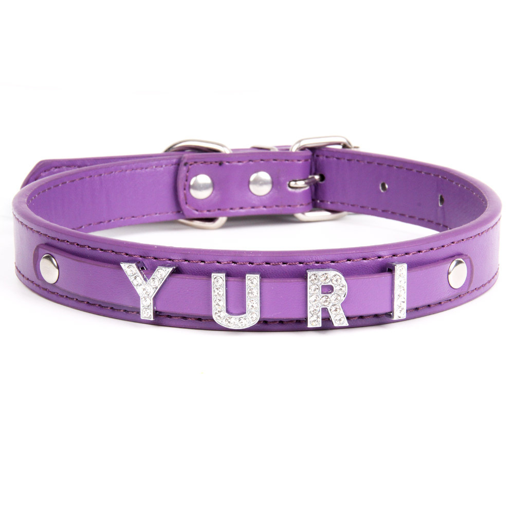 Viola
