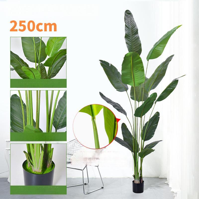 250cm With black plastic flowerpot