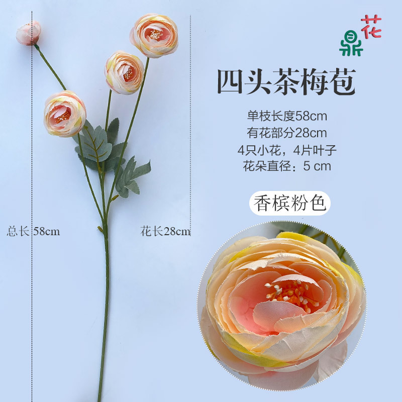 Bouton de rose thé à quatre têtes, rose champagne