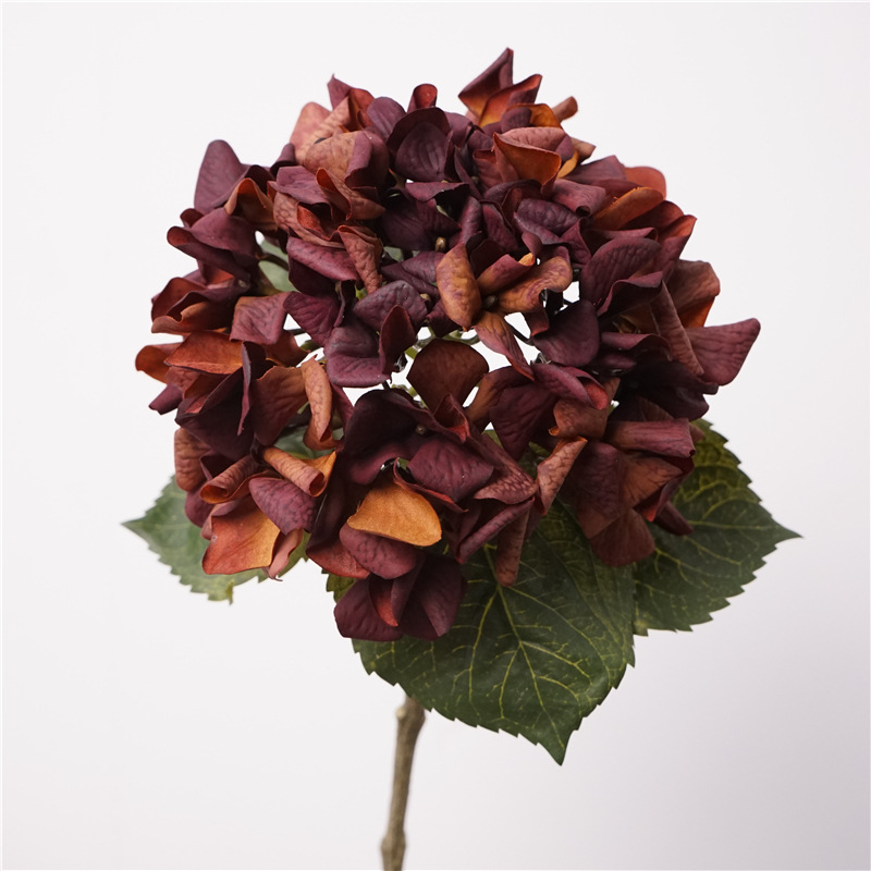 Feel autumn hydrangea-black purple