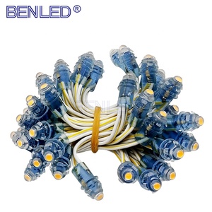Guscio trasparente Singolo Colore Nodo 12v 9 millimetri Led Pixel Stringa Luce - Product Image 1