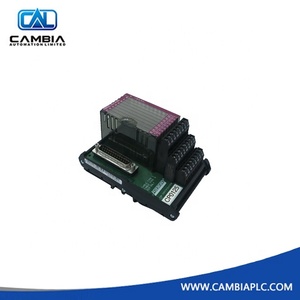 Invensys Foxboro I/A 系列 P0917GY 模块 FBM207c 通道隔离 16 输入 - Product Image 3