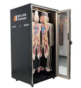 In-Int DP digimhuman tomographic ภาพโครงสร้างมนุษย์ดิจิตอล