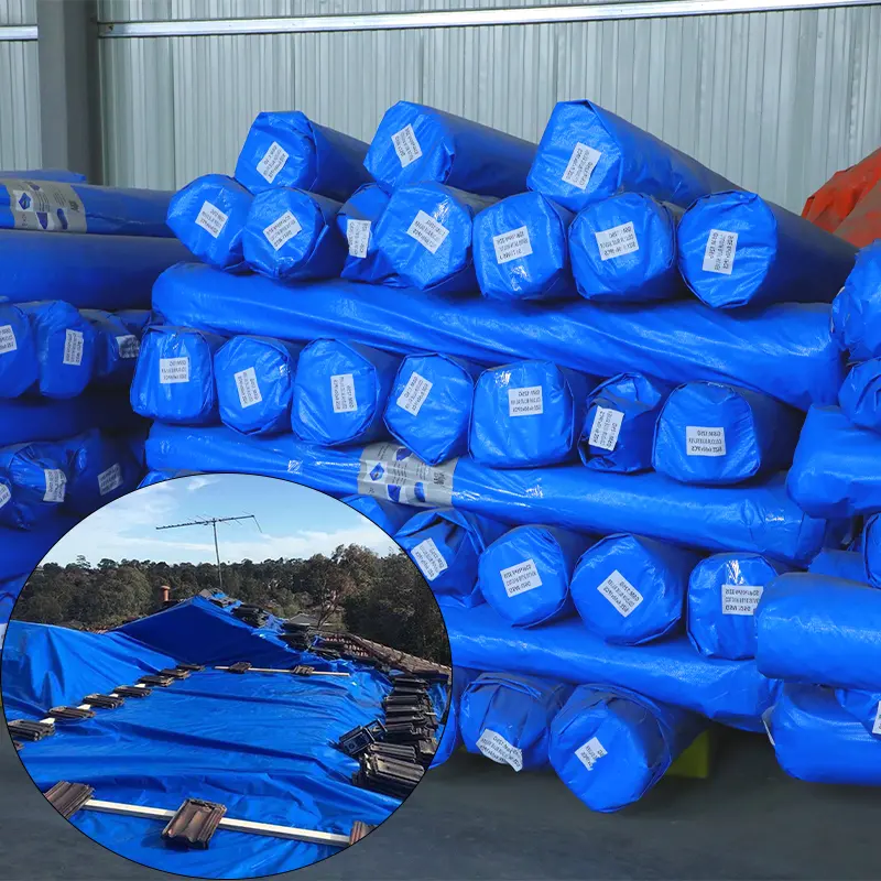 Coberturas de peixes de lona Pe para caminhões baratas amplamente utilizadas em vendas de fábrica em rolo