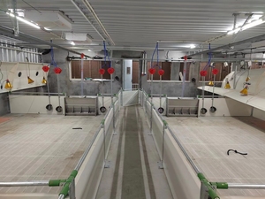 3 * 4m美欧型猪育肥笼带喂料线和饮水线定制尺寸铁或钢管可供选择 - Product Image 3
