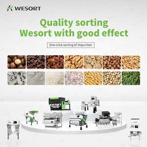 Hạt điều separator và màu sắc phân loại máy hồ trăn óc chó màu SORTER cho Nut nhà máy chế biến hình dạng SORTER chức năng - Product Image 6