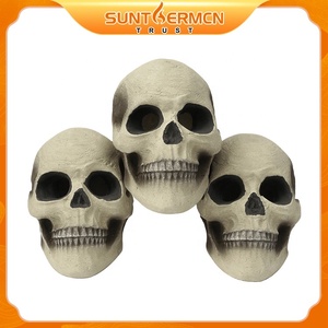 Skelett Knochen realistische Scheiben menschliches Skelett für Halloween - Product Image 3