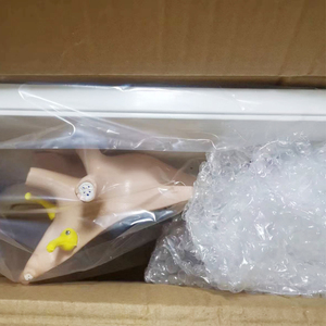 Tıp bilimi anatomik genişlemiş insan motoru neuron modeli öğretim için - Product Image 4