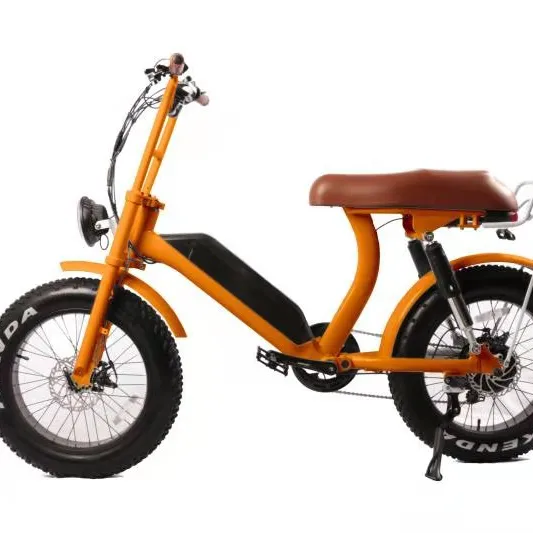 Newest high quality charger electric bicycle 48v 500w 20inch electric bicycle fashion fat pedal assist fat tire electric bike