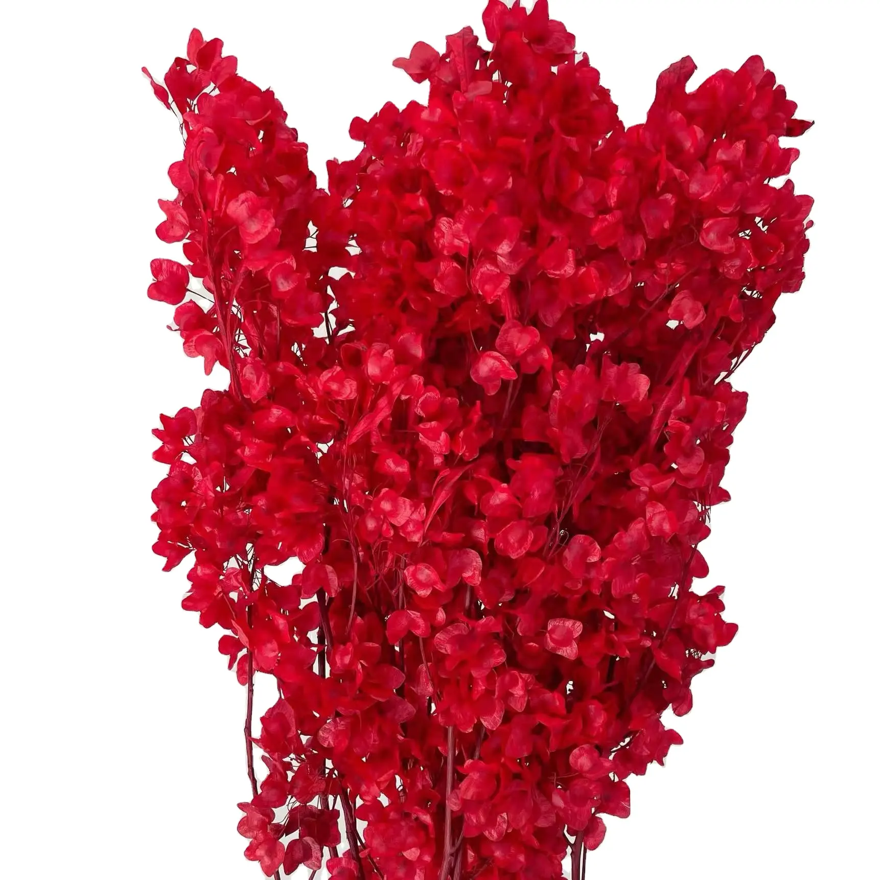 2022ปีใหม่เก็บรักษาไว้ดอกไม้สีแดงสไตล์ที่มีคุณภาพดีดอกไม้แห้งสำหรับตกแต่งบ้าน
