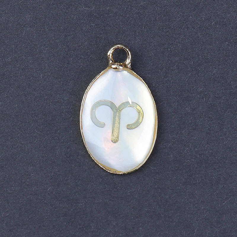 Concha Blanca Aries
