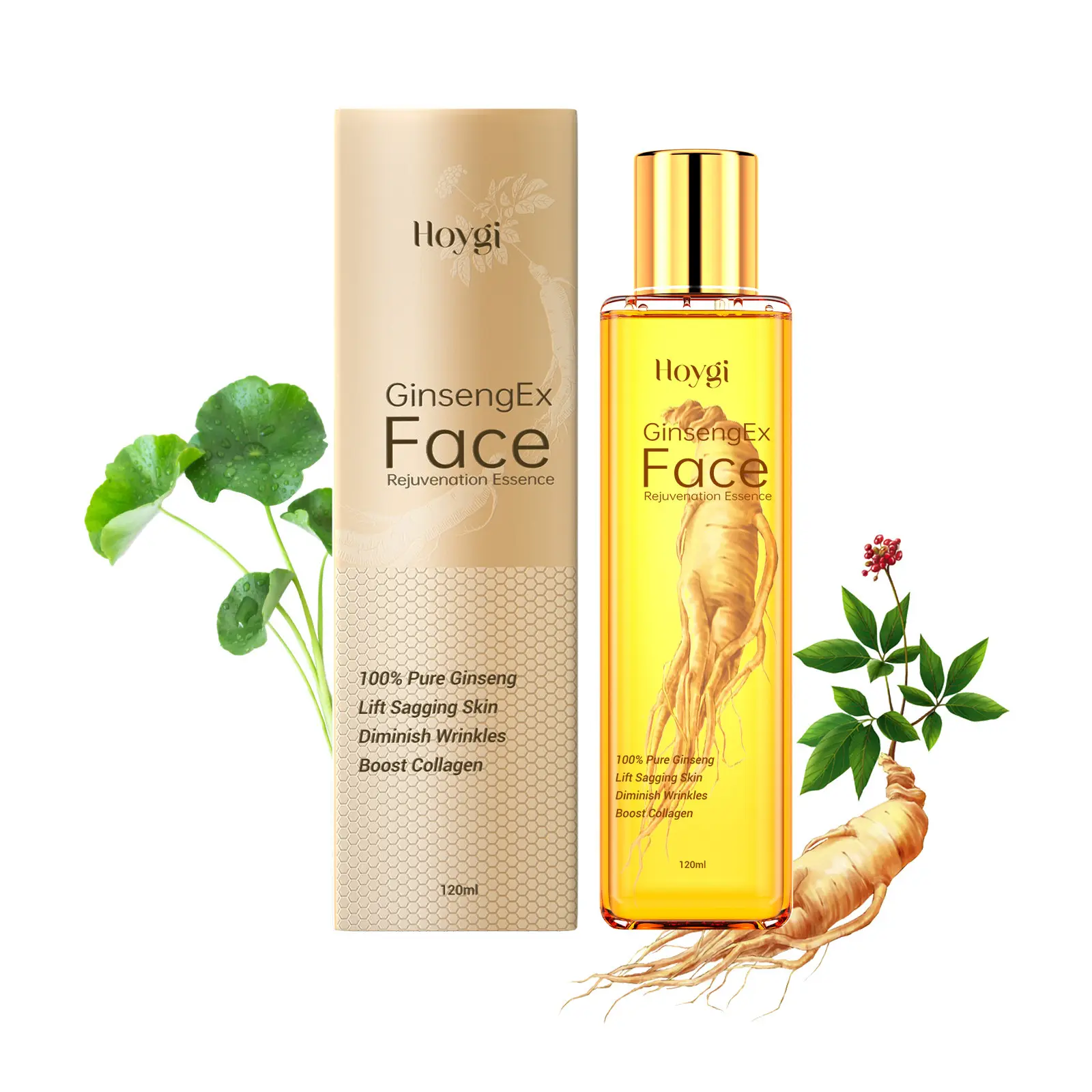 2024 New Arriving 100% Pure Ginseng Sagging Skin Lifting Quality of Skin Improving Ginseng Essence